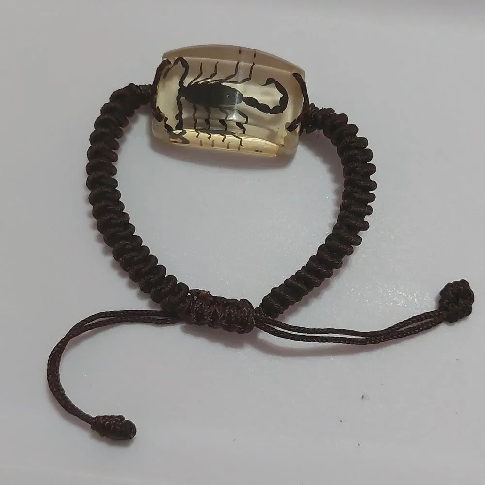 Preserved Real Black Scorpion Brown Adjustable Cord Bracelet - Picture 1 of 5